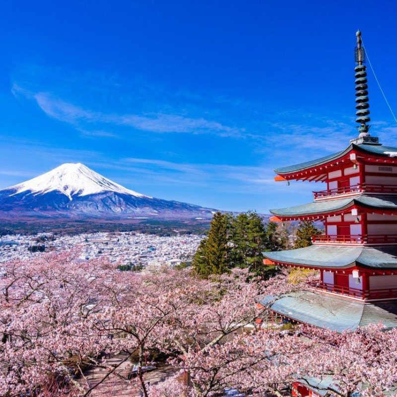 cherry-blossom-viewing-guide_key